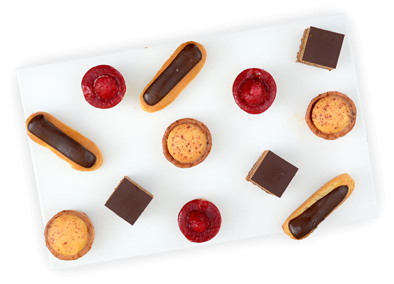 ヴィプチと妊娠