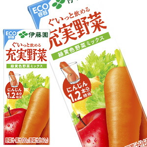 伊藤園 充実野菜 緑黄色ミックス200ml紙パック×24本［賞味期限：3ヶ月以上］【3～4営業日以内に出荷】【送料無料※北海道追加料金※沖縄離島不可】