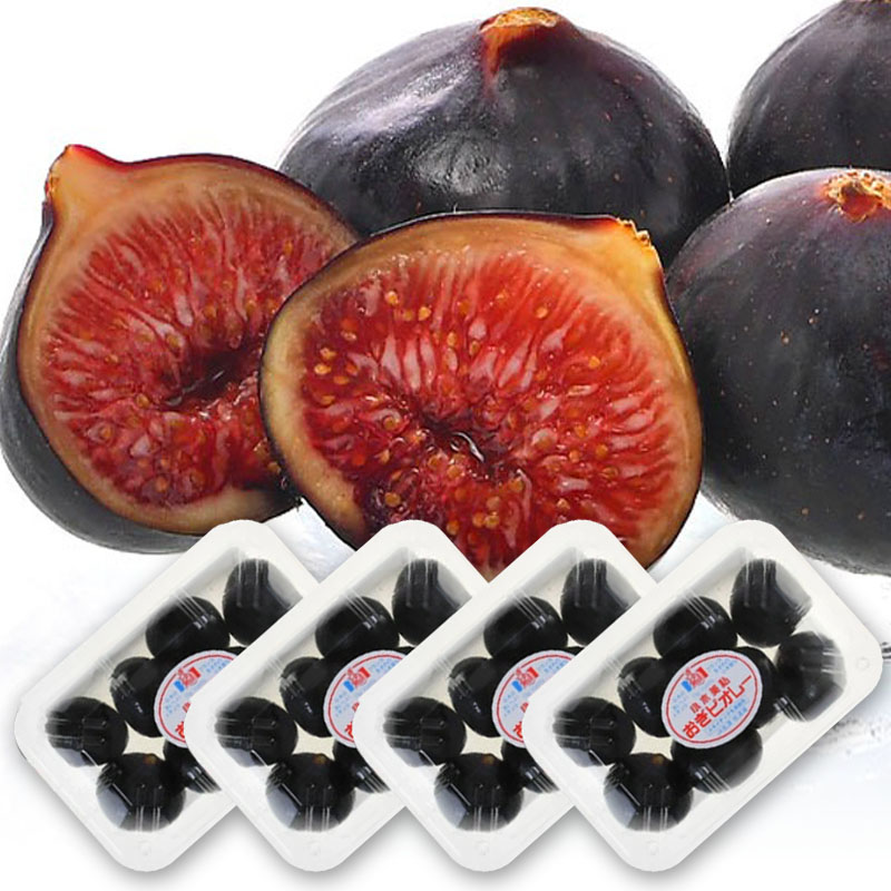 佐渡島産黒いちじくビオレソリエス約300g（4玉～8玉入り）×4パック
