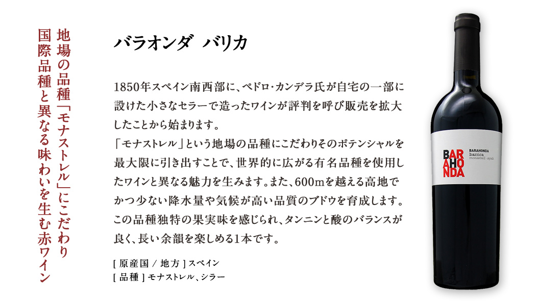 [クーポン配布中！][送料無料]ファーストクラス・ビジネスクラス