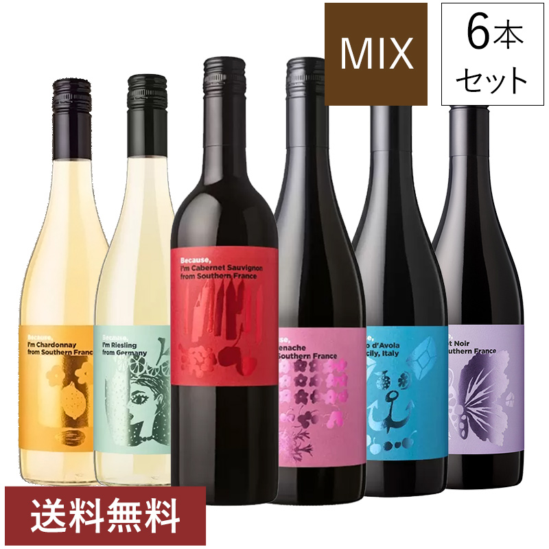 代表 品種 赤ワイン 白ワイン 6本 飲み比べ セット ソムリエ 試験対策おすすめ  [W][常温]【4～5営業日以内に出荷】【送料無料】