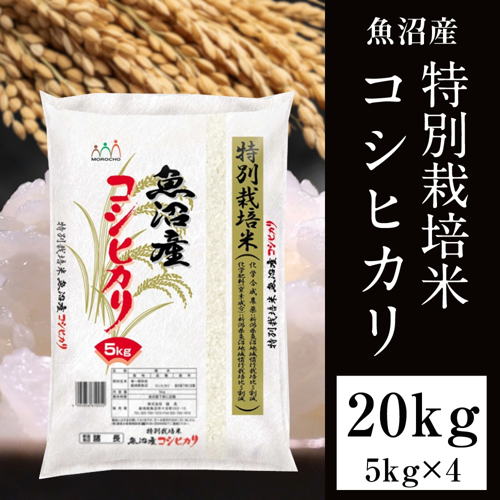 お米20kg(5kg×4) 魚沼コシヒカリ 新潟県魚沼 令和4年米