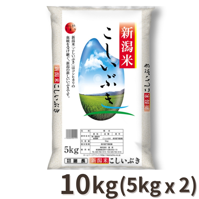 お米10kg(5kg×2) こしいぶき 新潟県 令和5年米
