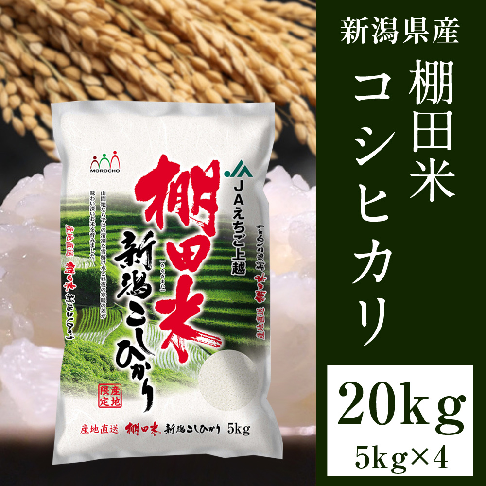 お米20kg(5kg×4) コシヒカリ 新潟県 令和5年米