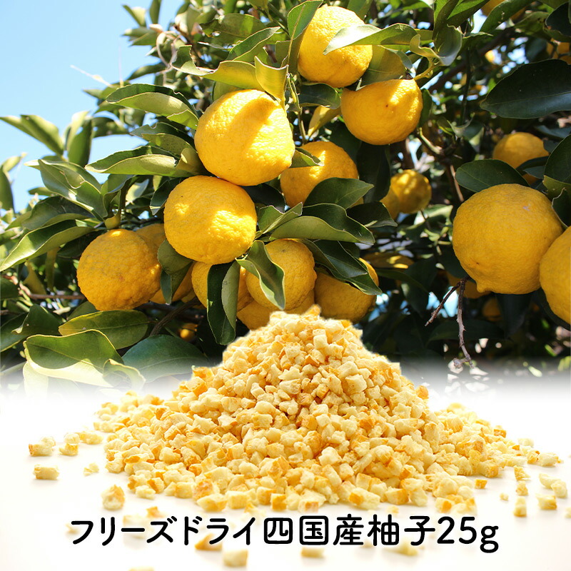 フリーズドライ 四国産柚子 25g［メール便］【送料無料】【3～4営業日以内に出荷】FD 乾燥 ドライ 具 具材 柚子 ユズ ゆず 四国 時短 便利 簡単 簡便 調理